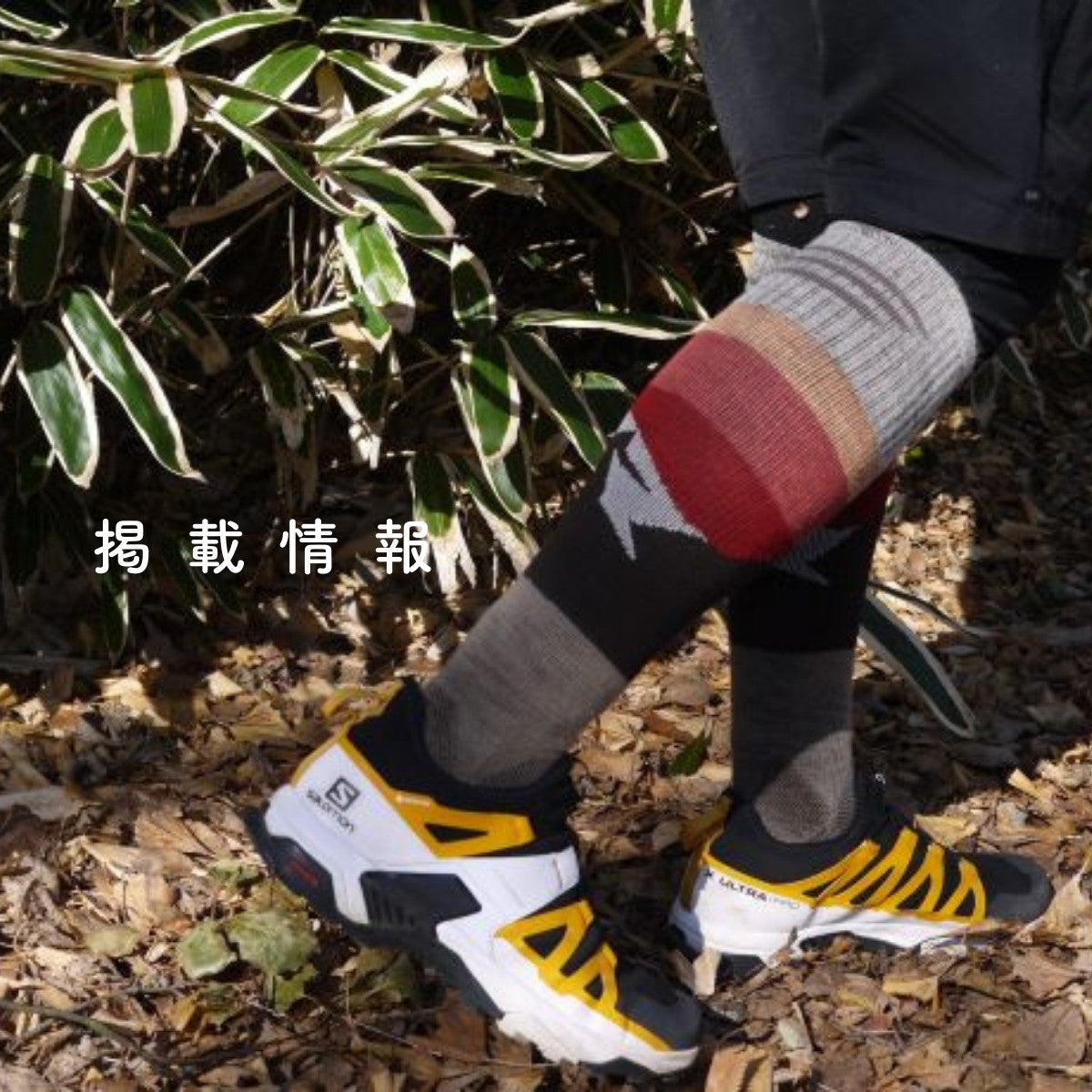 ヤマハック 掲載 レビュー