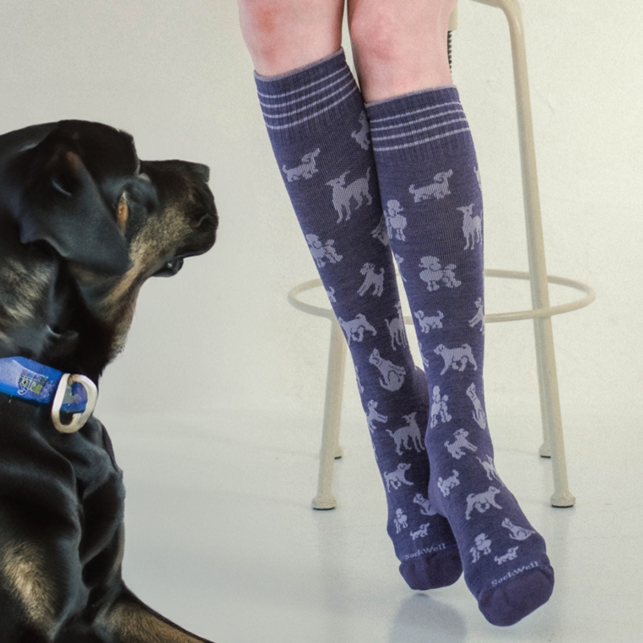 SW138W]BEST IN SHOW Ladies